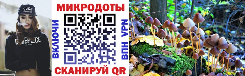 Галлюциногенные грибы ЛСД Владивосток