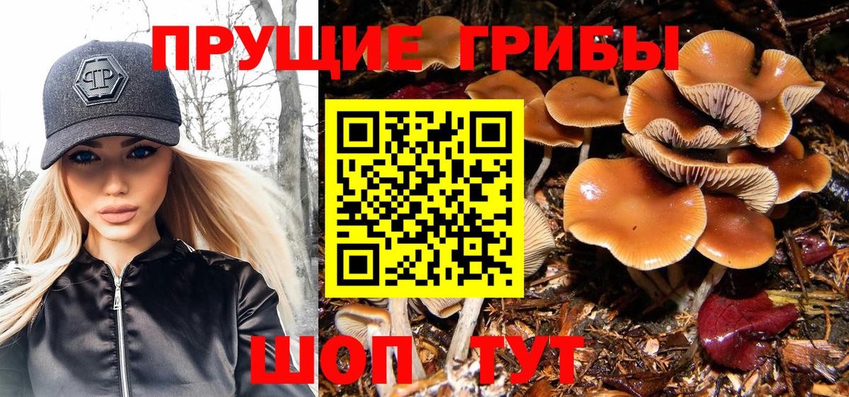 Псилоцибиновые грибы ЛСД  Вход с VPN  Владивосток 