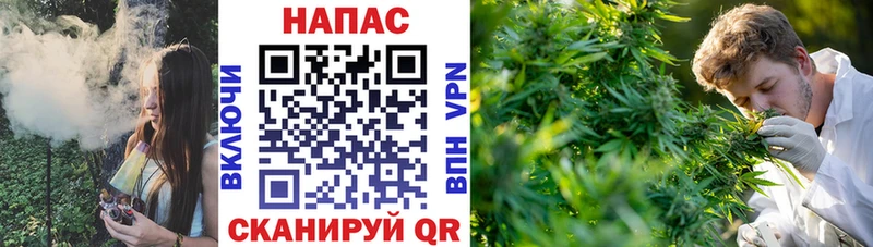 мориарти наркотические препараты  Владивосток  Бошки марихуана Amnesia 